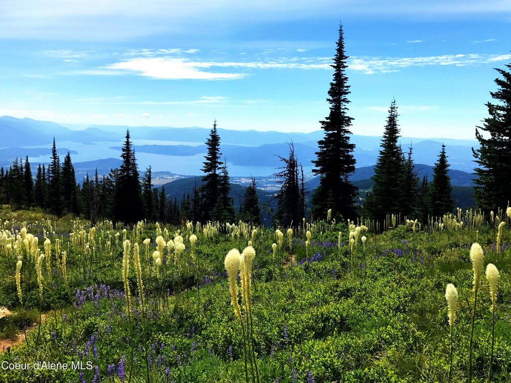 5 Crystal Springs Rd, Sandpoint, ID 83864 photo 60