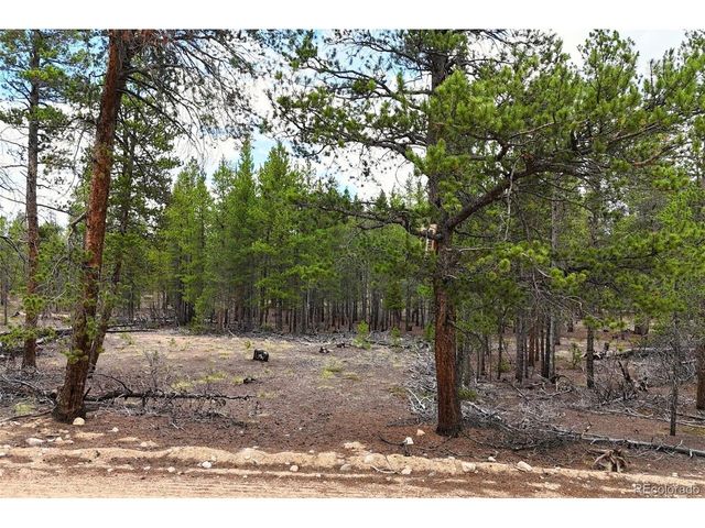 701 Cedar Dr, Leadville, CO 80461