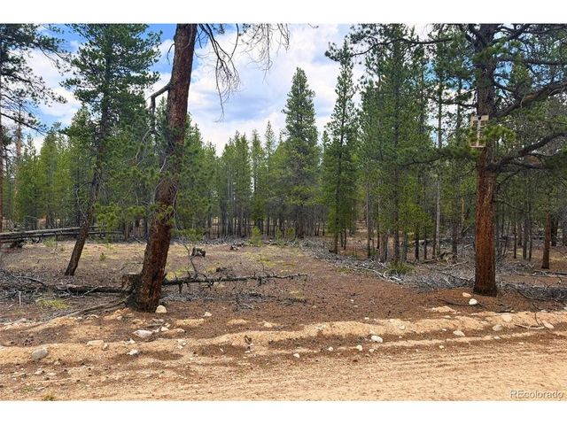 701 Cedar Dr, Leadville, CO 80461