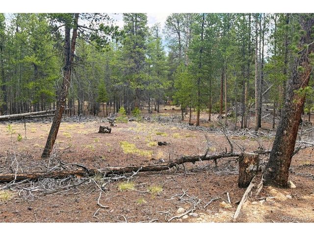 701 Cedar Dr, Leadville, CO 80461