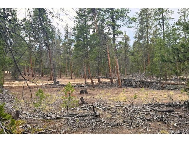 701 Cedar Dr, Leadville, CO 80461