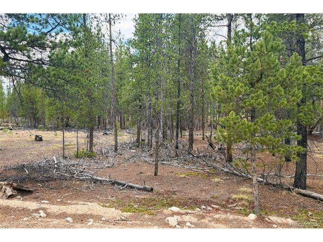 701 Cedar Dr, Leadville, CO 80461