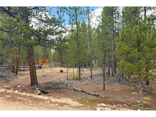 701 Cedar Dr, Leadville, CO 80461