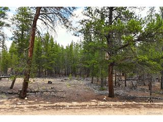 701 Cedar Dr, Leadville, CO 80461