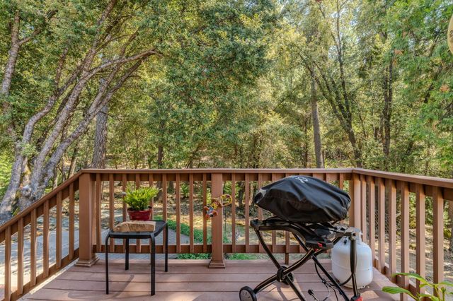 22590 Rocky Ln, Pioneer, CA 95666