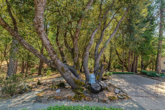 22590 Rocky Ln, Pioneer, CA 95666