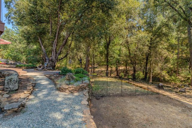22590 Rocky Ln, Pioneer, CA 95666