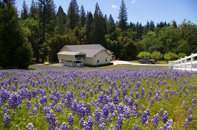 22590 Rocky Ln, Pioneer, CA 95666