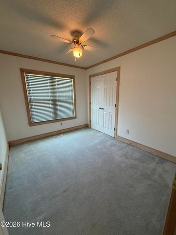 1437 Louie Pollock Road, La Grange, NC 28551