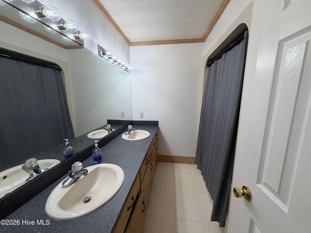 1437 Louie Pollock Road, La Grange, NC 28551