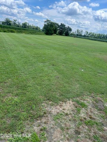 1437 Louie Pollock Road, La Grange, NC 28551
