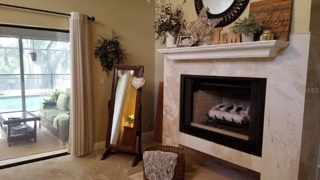 392 LAKEVIEW TERRACE, Palm Harbor, FL 34683