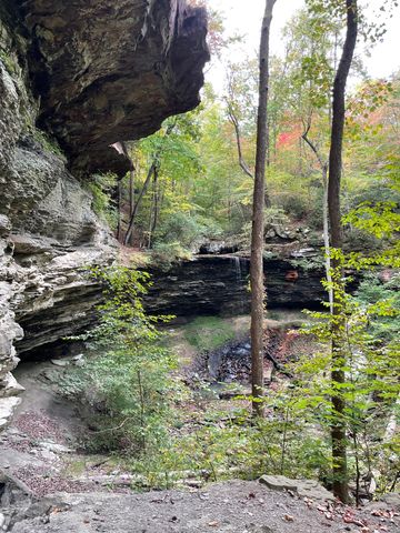 1863 Lake Louisa Loop, Monteagle, TN 37356