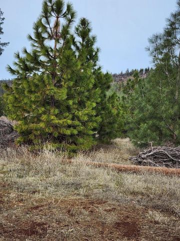 Lot 01 Woodcutters Way, Manton, CA 96059