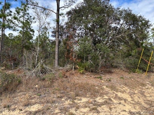 4138 W Dorchester Circle, Dunnellon, FL 34433