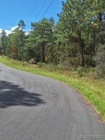 4138 W Dorchester Circle, Dunnellon, FL 34433