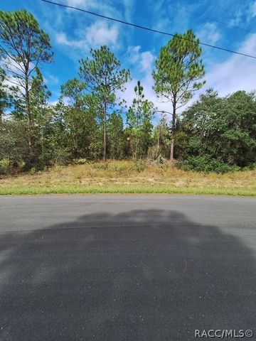 4138 W Dorchester Circle, Dunnellon, FL 34433