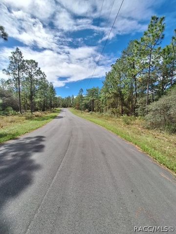 4138 W Dorchester Circle, Dunnellon, FL 34433
