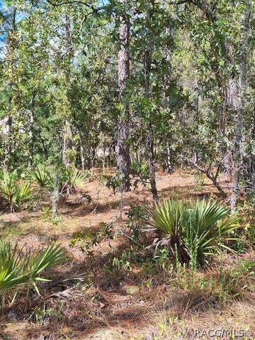 4138 W Dorchester Circle, Dunnellon, FL 34433