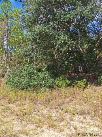 4138 W Dorchester Circle, Dunnellon, FL 34433