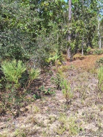 4138 W Dorchester Circle, Dunnellon, FL 34433