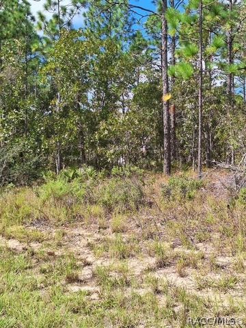 4138 W Dorchester Circle, Dunnellon, FL 34433