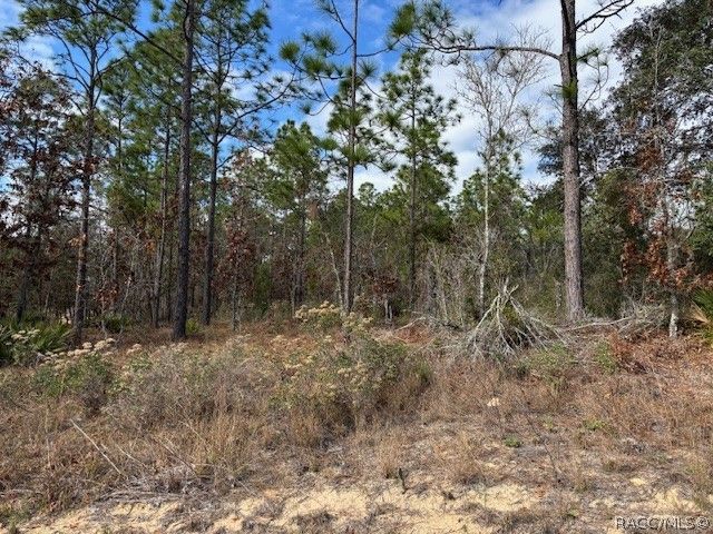 4138 W Dorchester Circle, Dunnellon, FL 34433