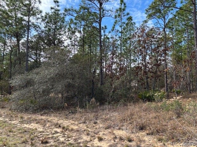 4138 W Dorchester Circle, Dunnellon, FL 34433