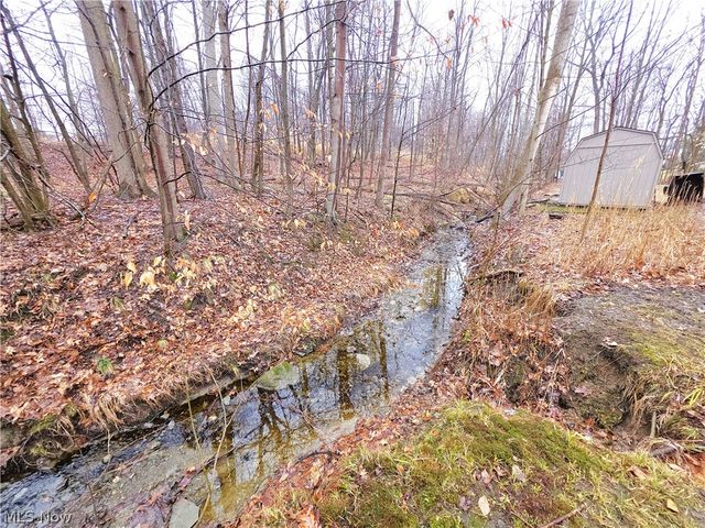 10522 Belleau Drive, Twinsburg, OH 44087