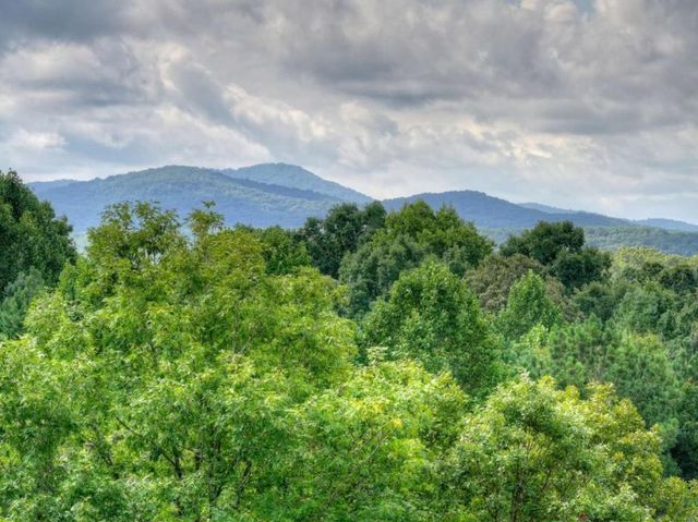 214 Ethan Wilson Way, Morganton, GA 30560