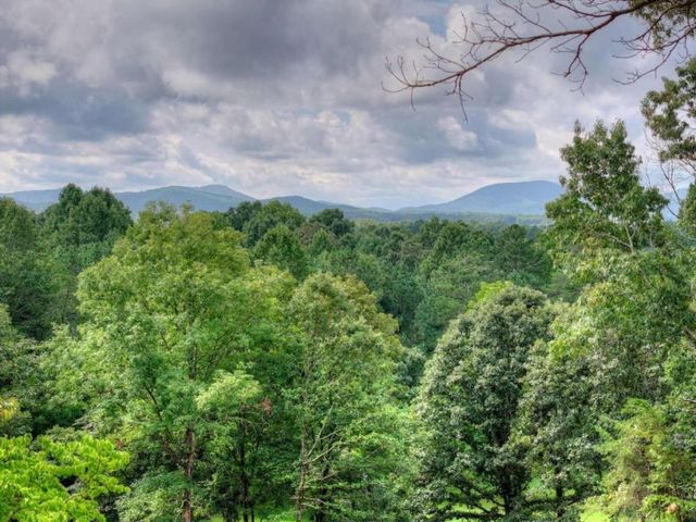 214 Ethan Wilson Way, Morganton, GA 30560