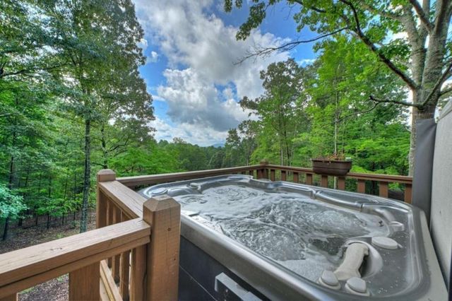 214 Ethan Wilson Way, Morganton, GA 30560