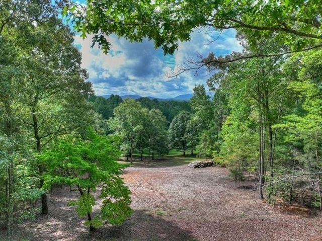 214 Ethan Wilson Way, Morganton, GA 30560
