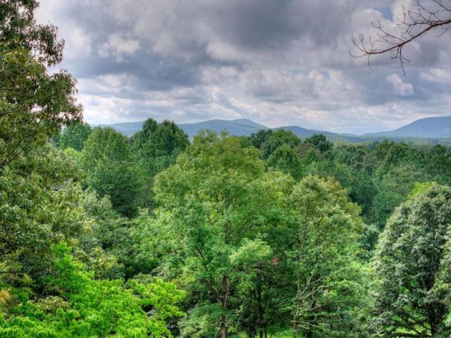 214 Ethan Wilson Way, Morganton, GA 30560