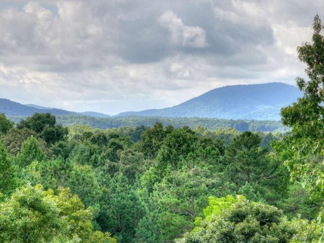 214 Ethan Wilson Way, Morganton, GA 30560