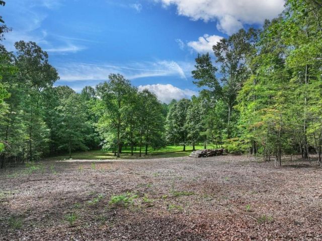 214 Ethan Wilson Way, Morganton, GA 30560