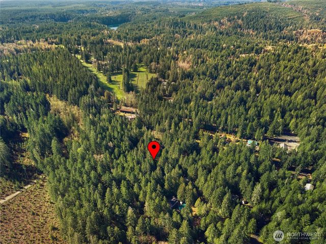 300 N Mount Jupiter Drive, Hoodsport, WA 98548