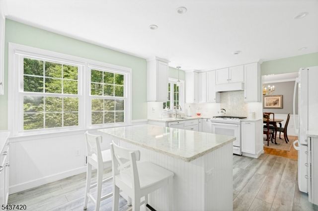 4 Ashley Ct, Morris Twp., NJ 07960