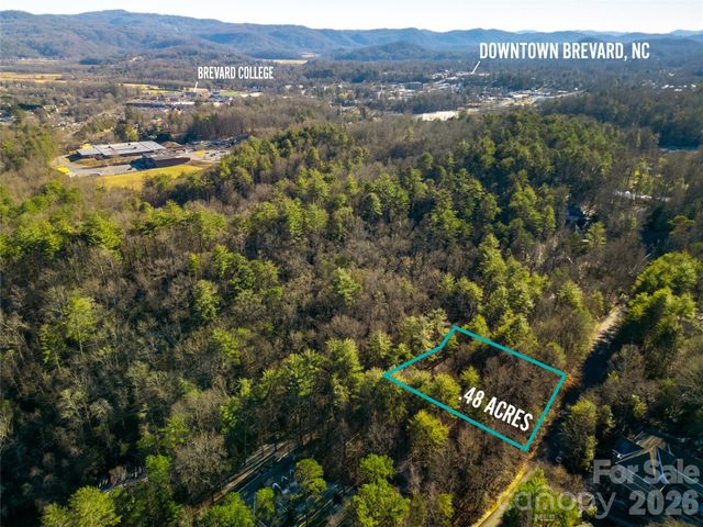 L11 Deerlake Road 11, Brevard, NC 28712