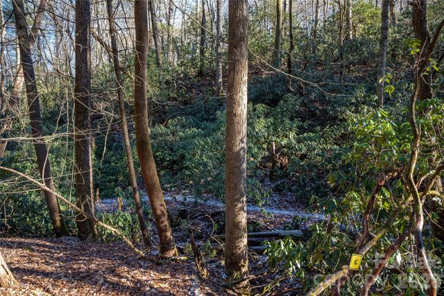 L11 Deerlake Road 11, Brevard, NC 28712