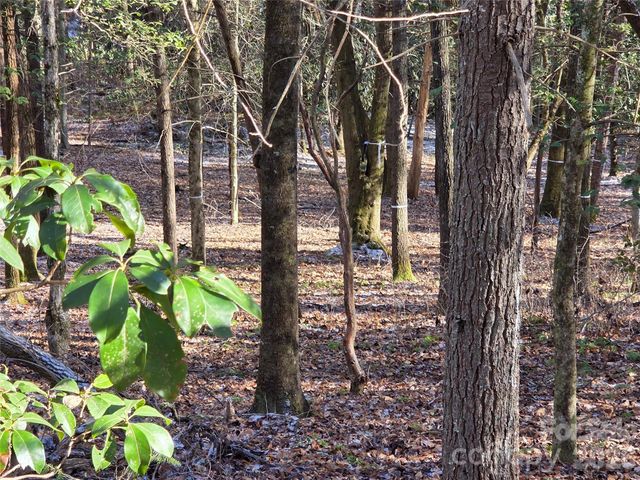 L11 Deerlake Road 11, Brevard, NC 28712