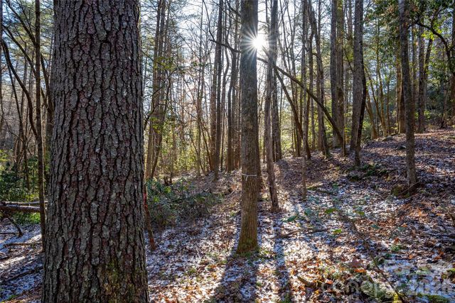 L11 Deerlake Road 11, Brevard, NC 28712