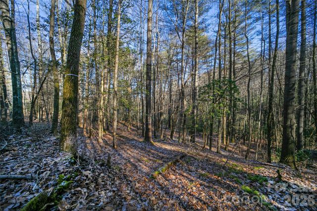 L11 Deerlake Road 11, Brevard, NC 28712