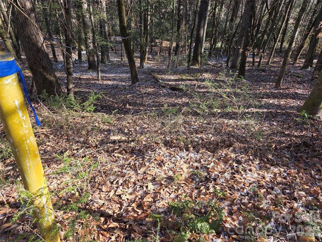 L11 Deerlake Road 11, Brevard, NC 28712