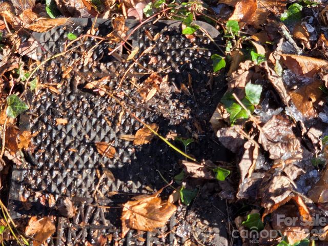 L11 Deerlake Road 11, Brevard, NC 28712