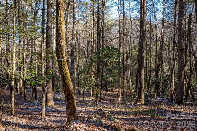 L11 Deerlake Road 11, Brevard, NC 28712