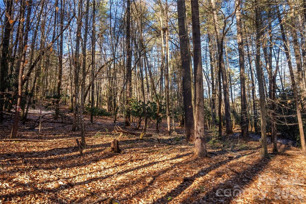 L11 Deerlake Road 11, Brevard, NC 28712