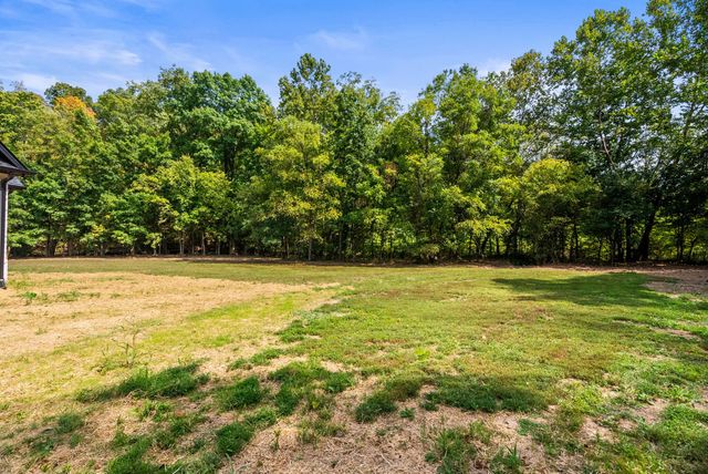 4082 Summit Dr, Greenbrier, TN 37073