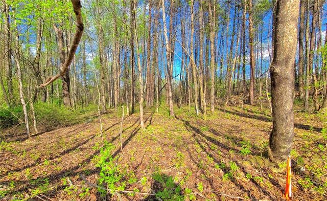 5091 Donna Marie Court, Walkertown, NC 27051