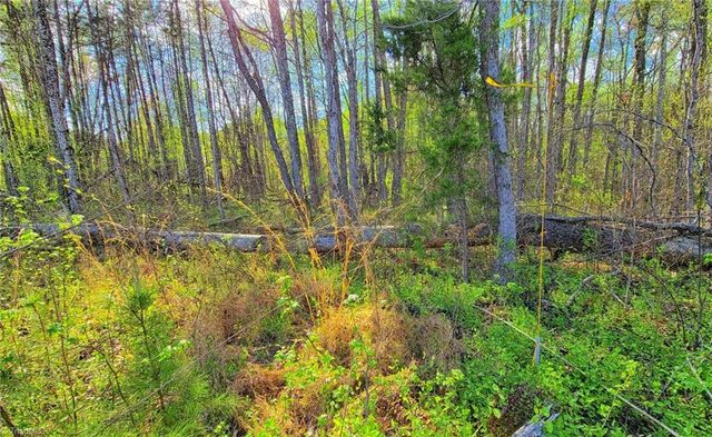 5091 Donna Marie Court, Walkertown, NC 27051